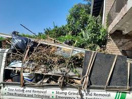 Best Carpet Removal and Disposal  in Forrest, IL