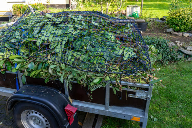 Best Residential Junk Removal  in Forrest, IL